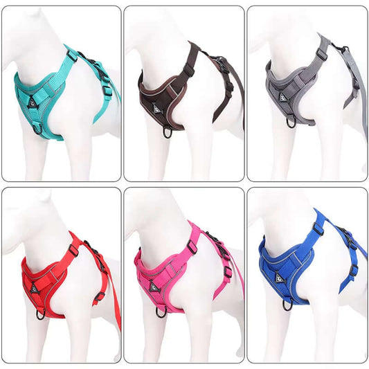 No-pull dog harness with leash in six colors – red, teal, pink, blue, grey, and black – combo pack