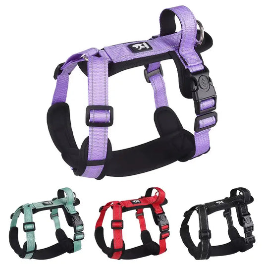 Anti-escape dog harnesses in red, green, black, teal, and purple – no pull, secure fit, assorted color preview