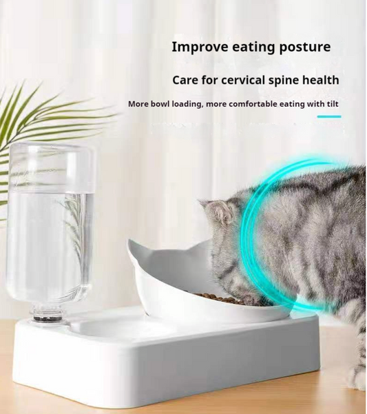 Double Cat Bowls with Auto Water Bottle – Raised & Tilted