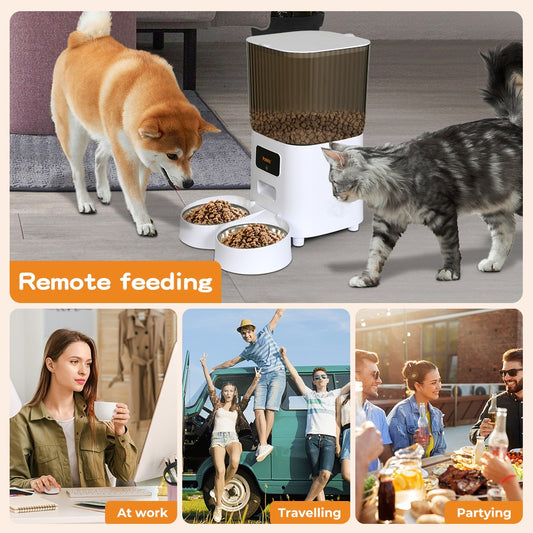 Pawz 5L Automatic Pet Feeder Double Bowl Dog Cat Auto Smart Food Dispenser Timer