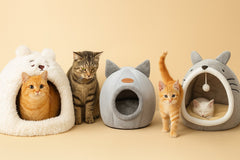 Cat Beds & Furniture