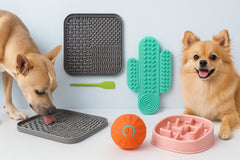 Dog Toys & Enrichment
