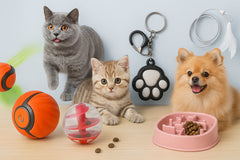 Cat Toys & Enrichment