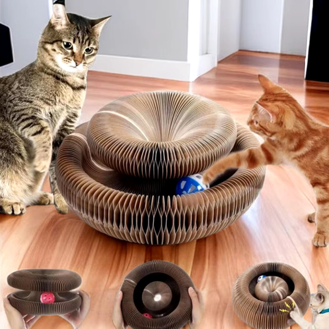 Magic Cat Scratch Board with Ball – Corrugated Toy