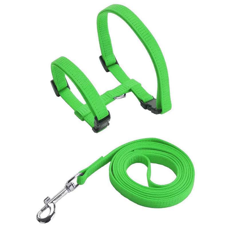 Sphynx Cat Harness & Leash Set – Comfortable & Secure