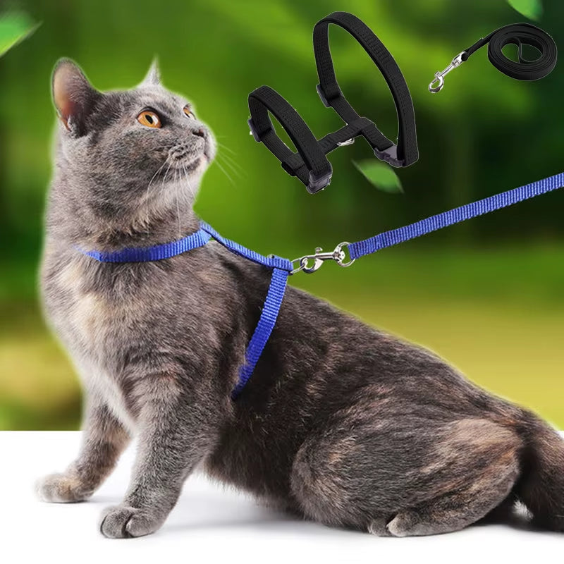 Sphynx Cat Harness & Leash Set – Comfortable & Secure