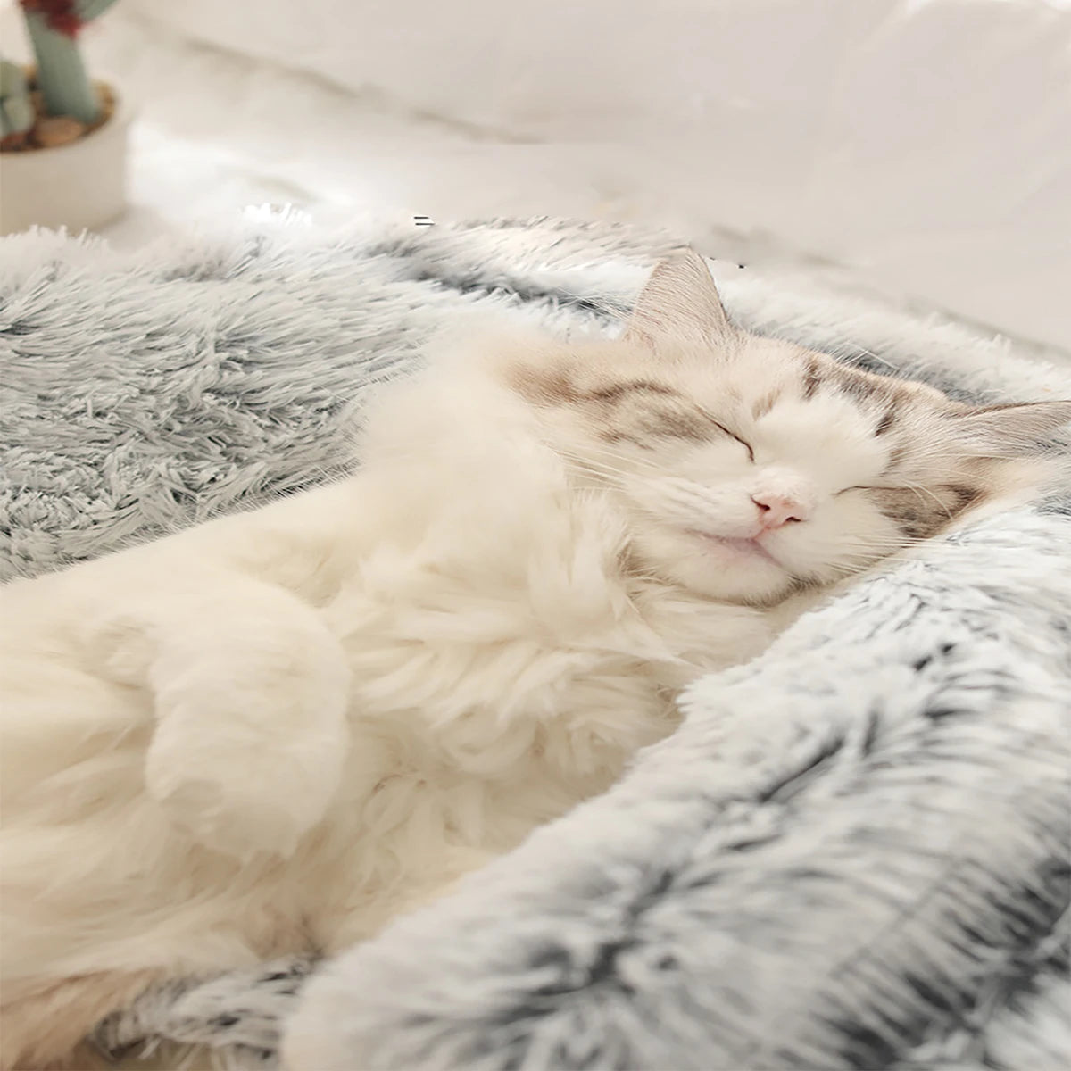 Round Plush Hooded Cat & Small Dog Bed – Cozy Cave