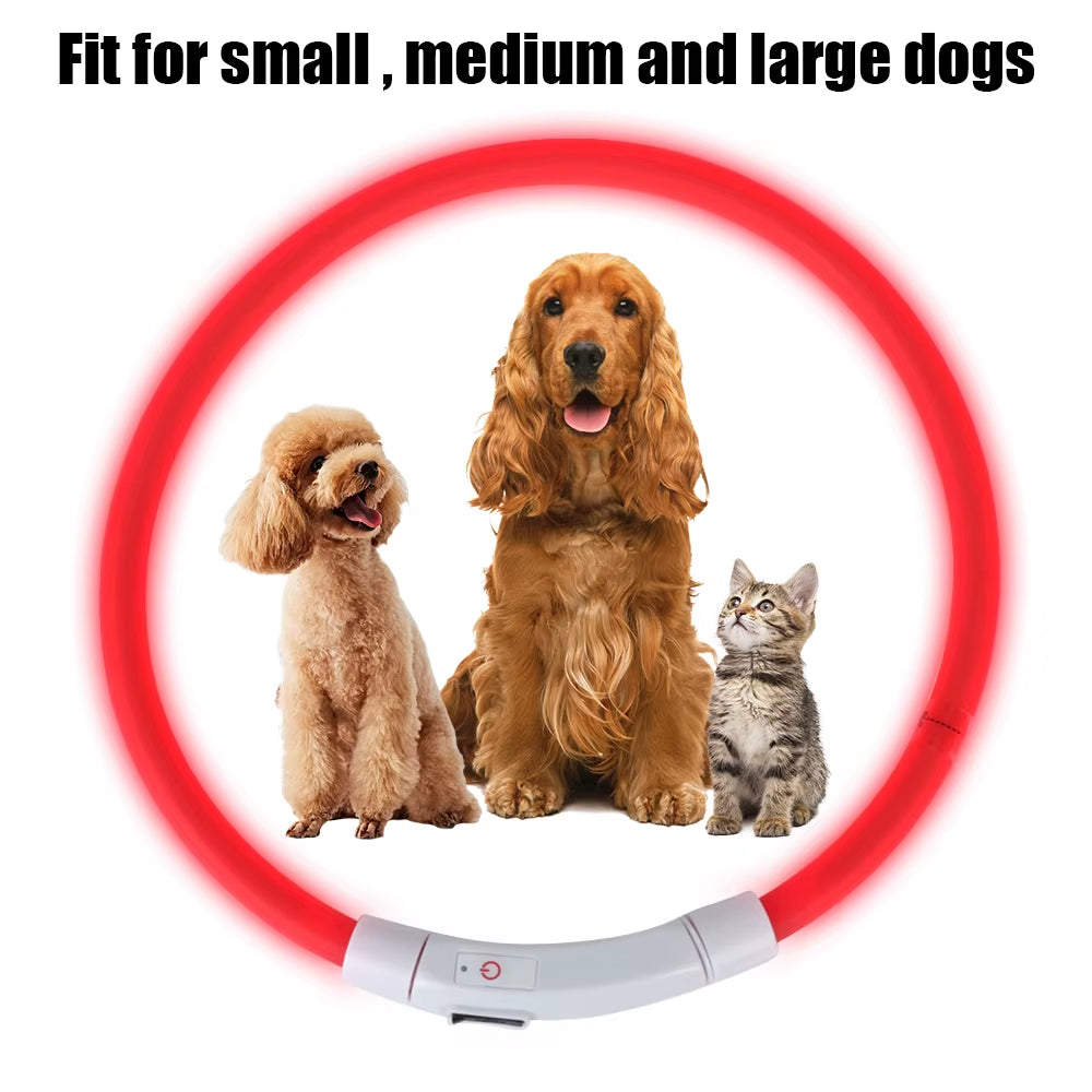 GlowPaw USB Rechargeable LED Dog Safety Collar for Pets
