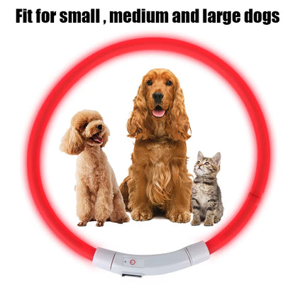 GlowPaw USB Rechargeable LED Dog Safety Collar for Pets