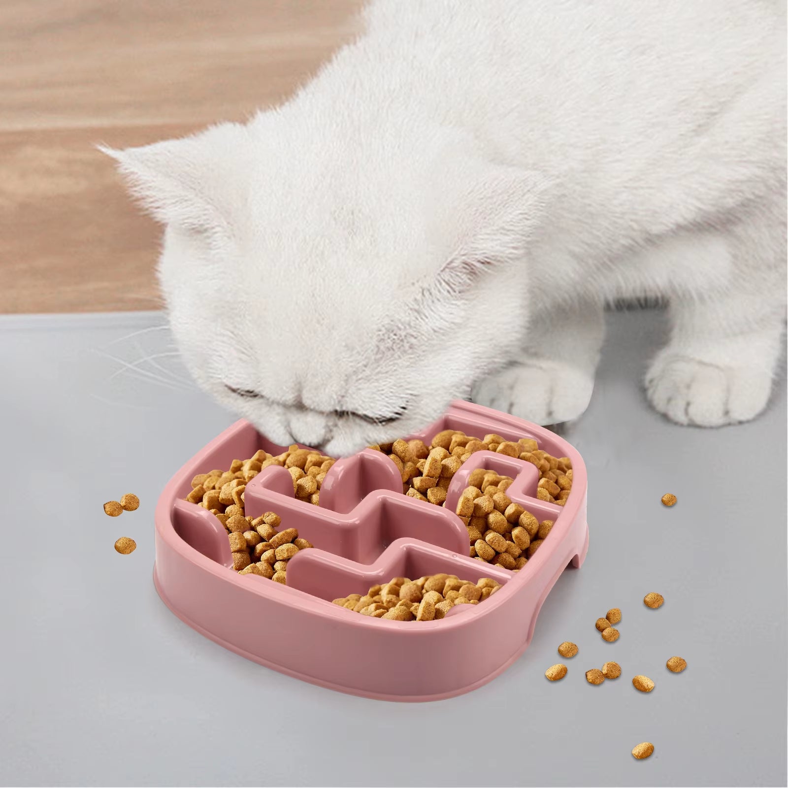 SlowPaws Anti-Choke Feeder Bowl