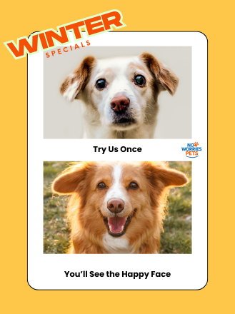 Ad Banner