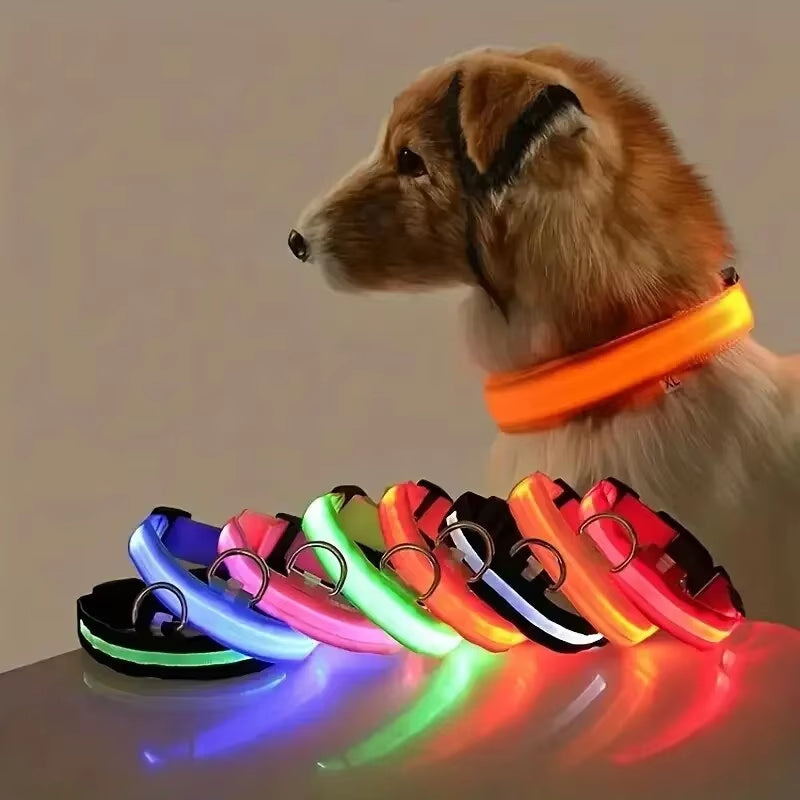 LED Nylon Dog Leash Glow in the Dark Safety