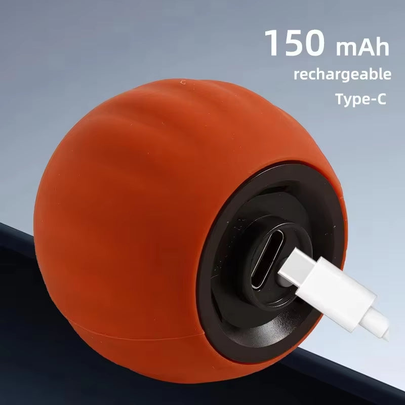 Automatic Rolling Ball Pet Toy Rechargeable & Smart