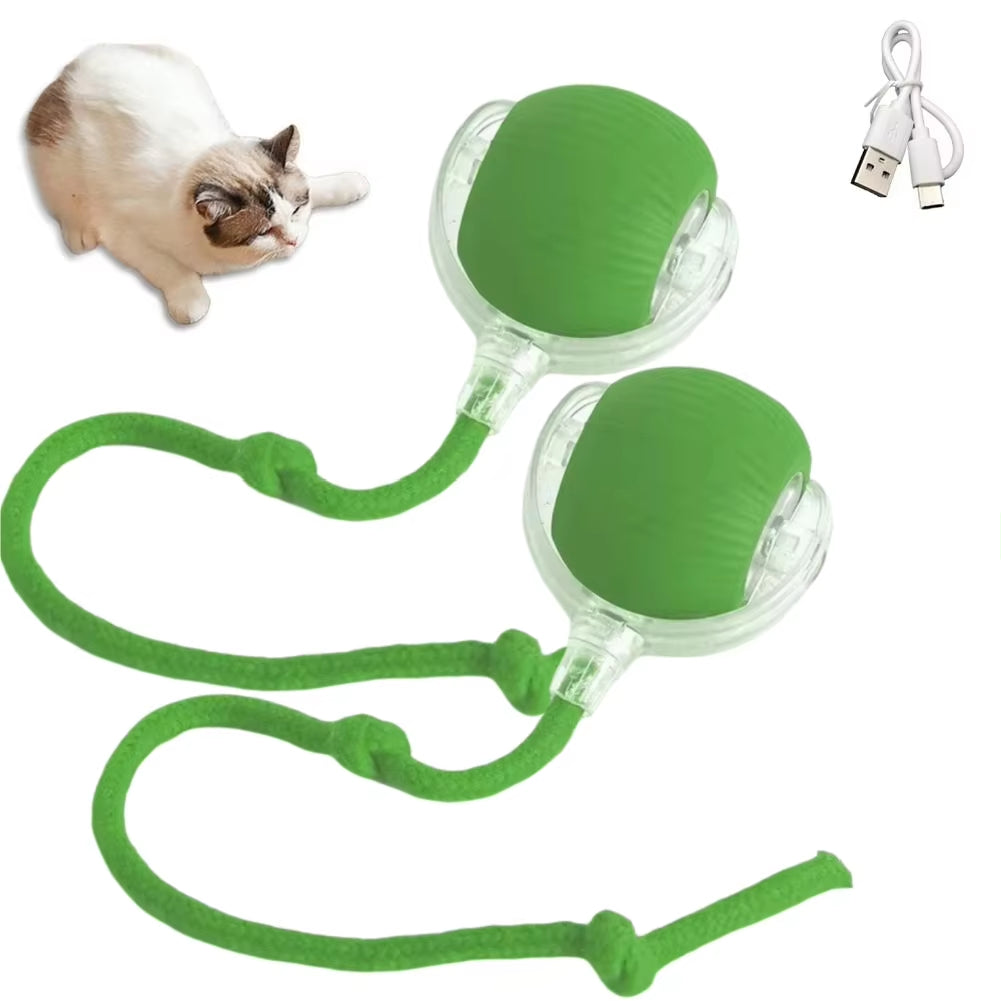Automatic Rolling Ball Pet Toy Rechargeable & Smart