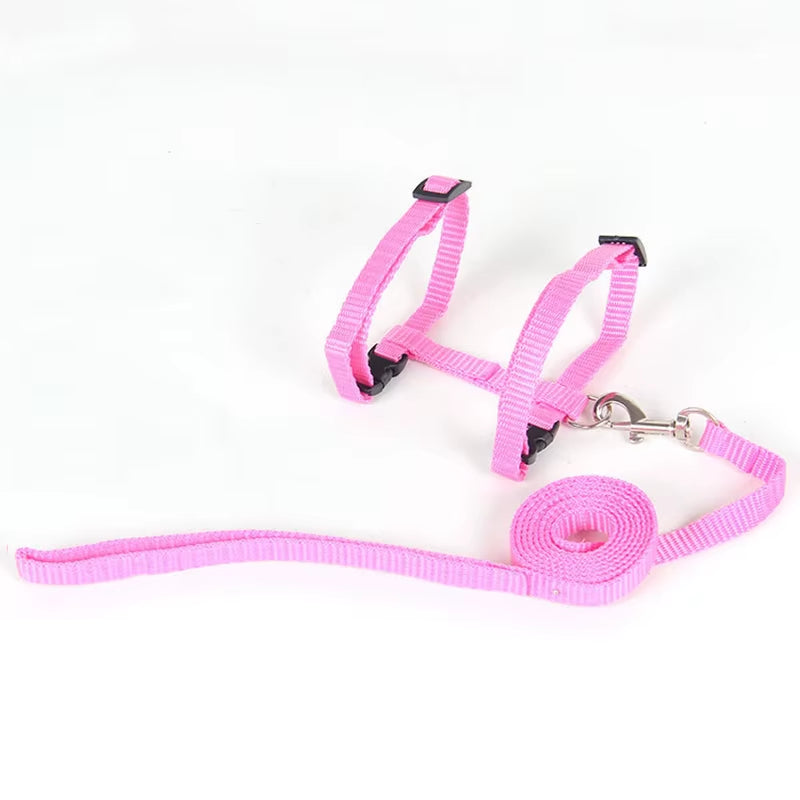 Sphynx Cat Harness & Leash Set – Comfortable & Secure