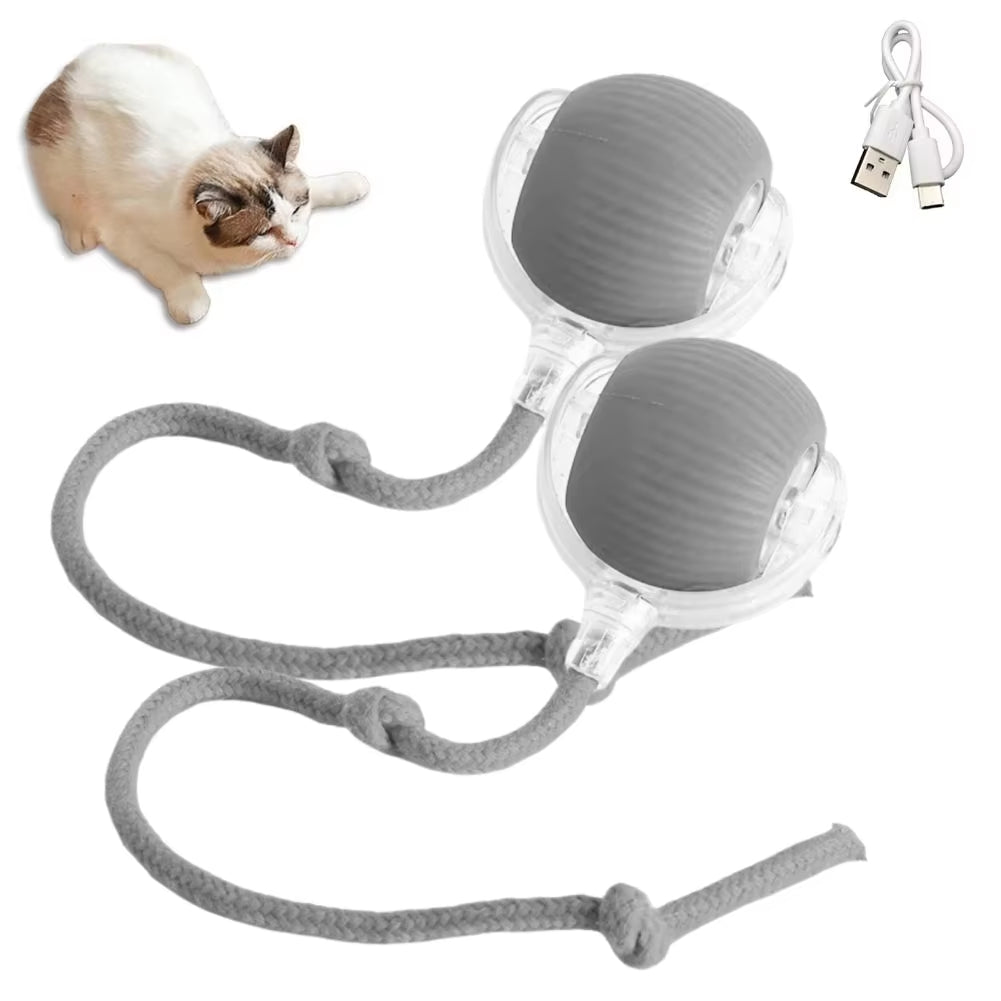 Automatic Rolling Ball Pet Toy Rechargeable & Smart