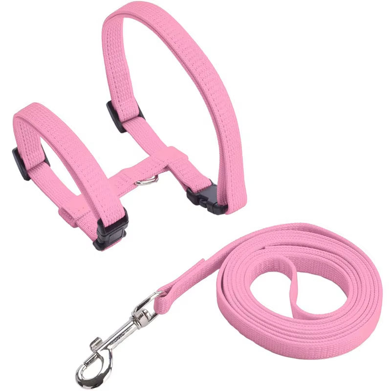 Sphynx Cat Harness & Leash Set – Comfortable & Secure