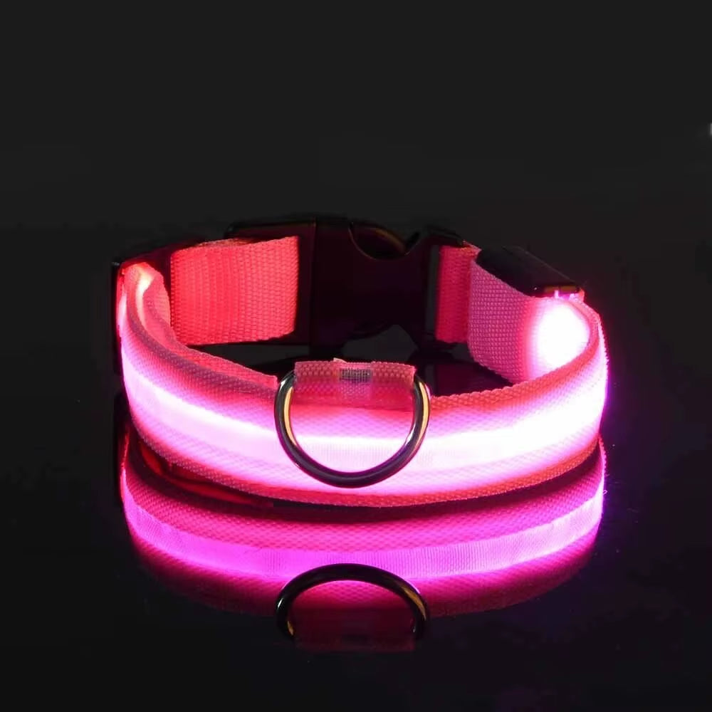 LED Nylon Dog Leash Glow in the Dark Safety