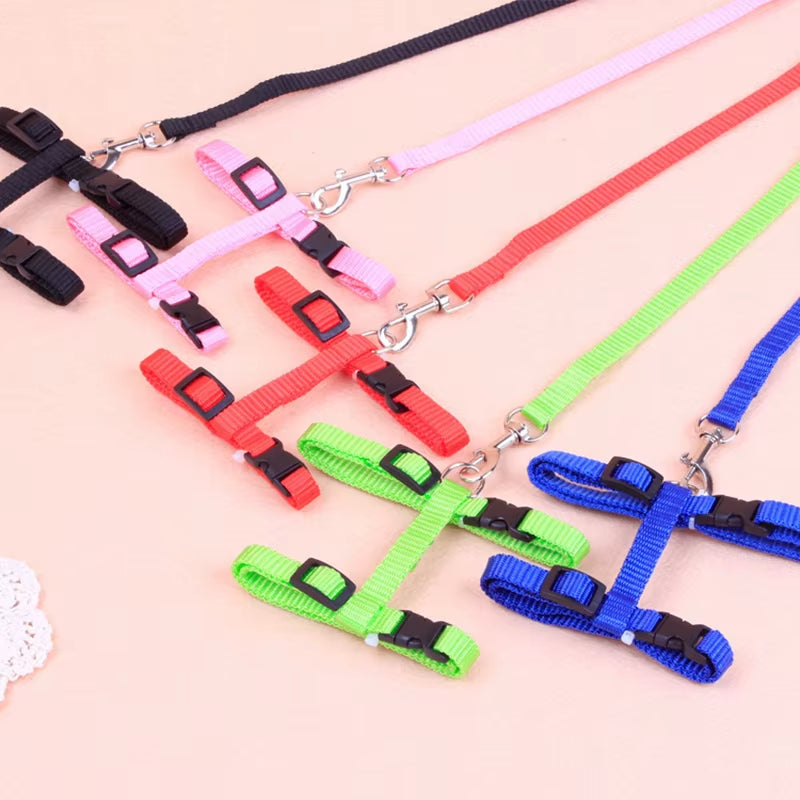Sphynx Cat Harness & Leash Set – Comfortable & Secure