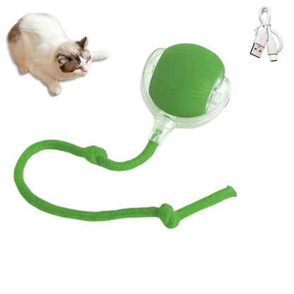 Automatic Rolling Ball Pet Toy Rechargeable & Smart