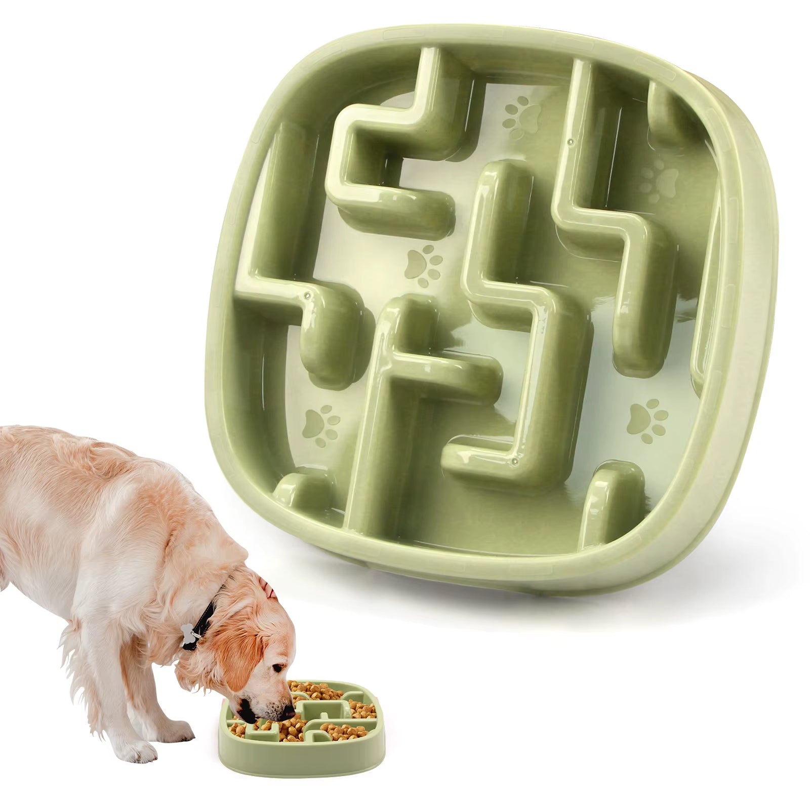 SlowPaws Anti-Choke Feeder Bowl