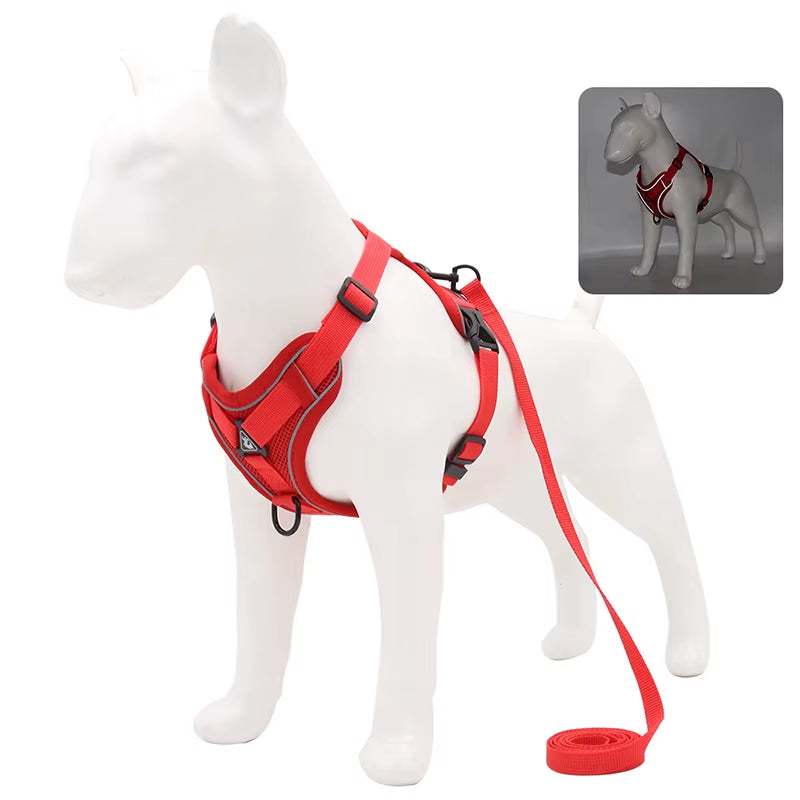 Dog Harness & Leash Set Adjustable & Reflective