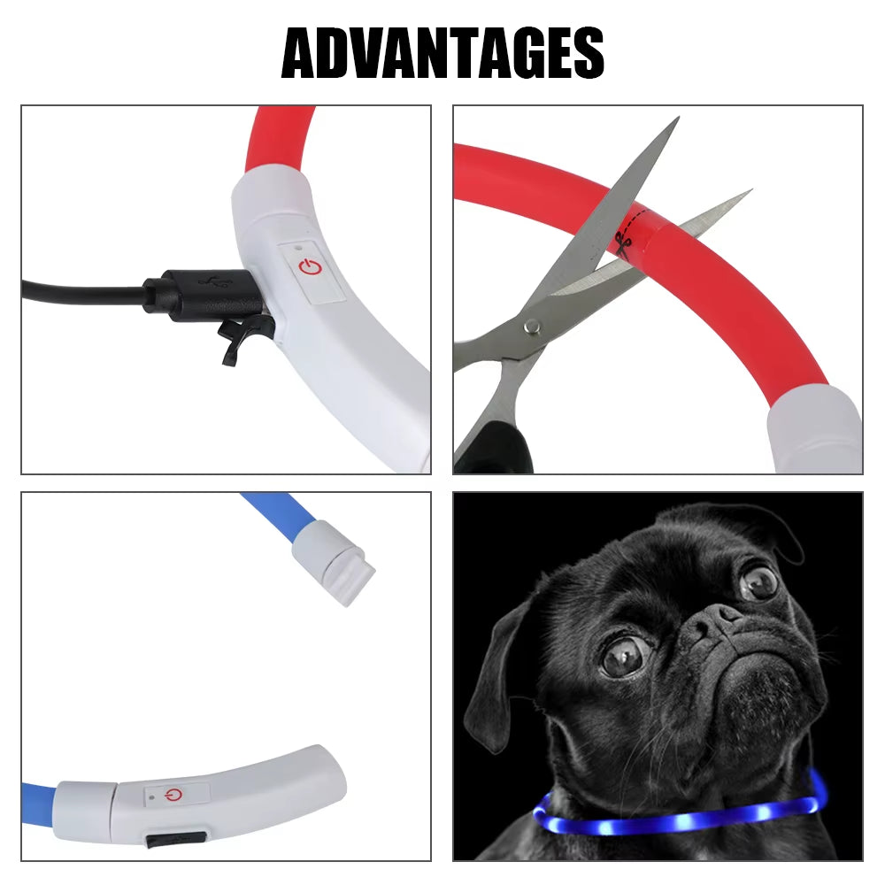 GlowPaw USB Rechargeable LED Dog Safety Collar for Pets