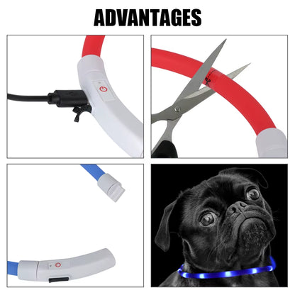 GlowPaw USB Rechargeable LED Dog Safety Collar for Pets