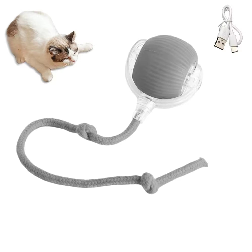 Automatic Rolling Ball Pet Toy Rechargeable & Smart