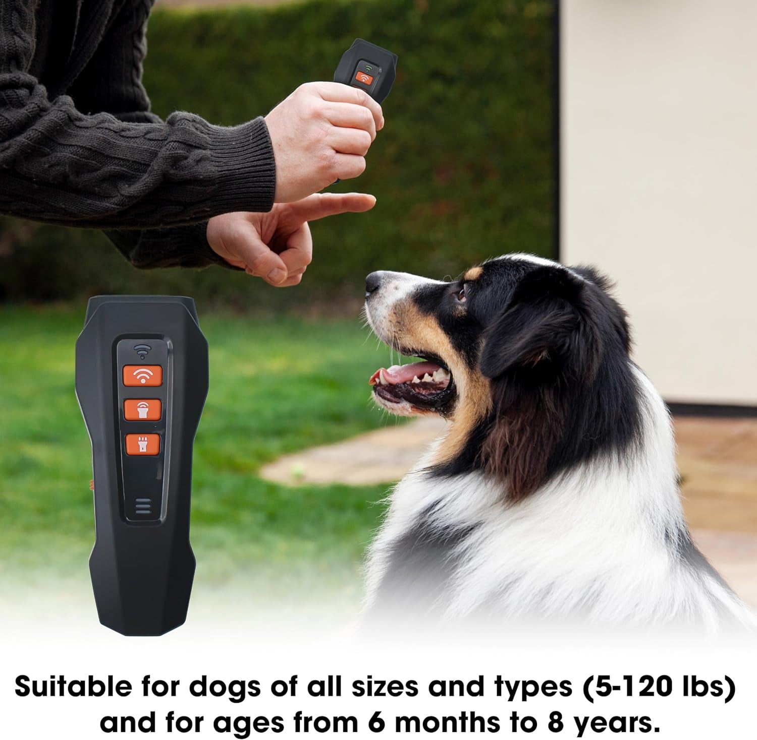 Ultrasonic Dog Bark Control Training Whistle