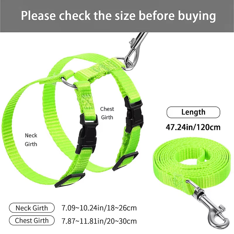 Sphynx Cat Harness & Leash Set – Comfortable & Secure