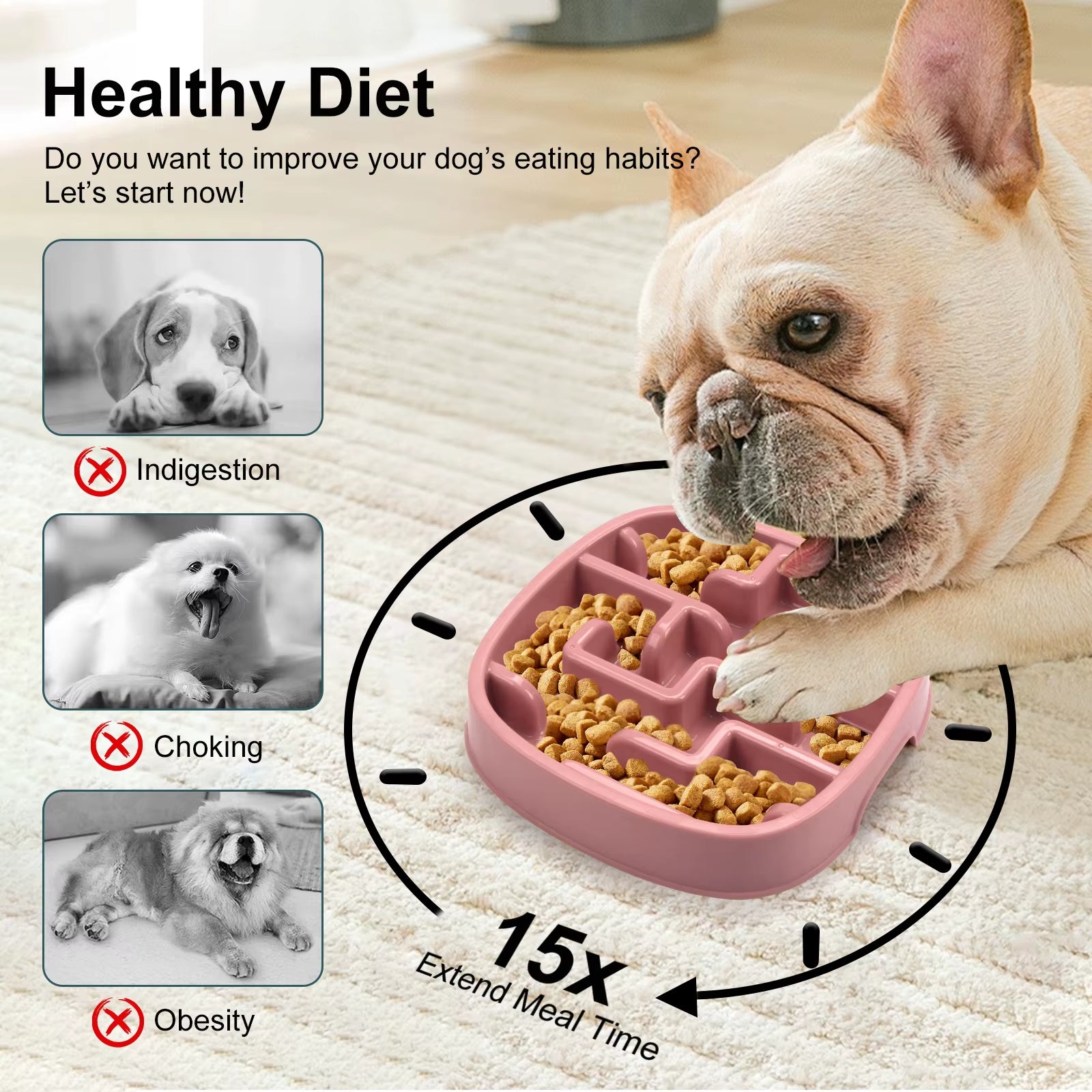 SlowPaws Anti-Choke Feeder Bowl