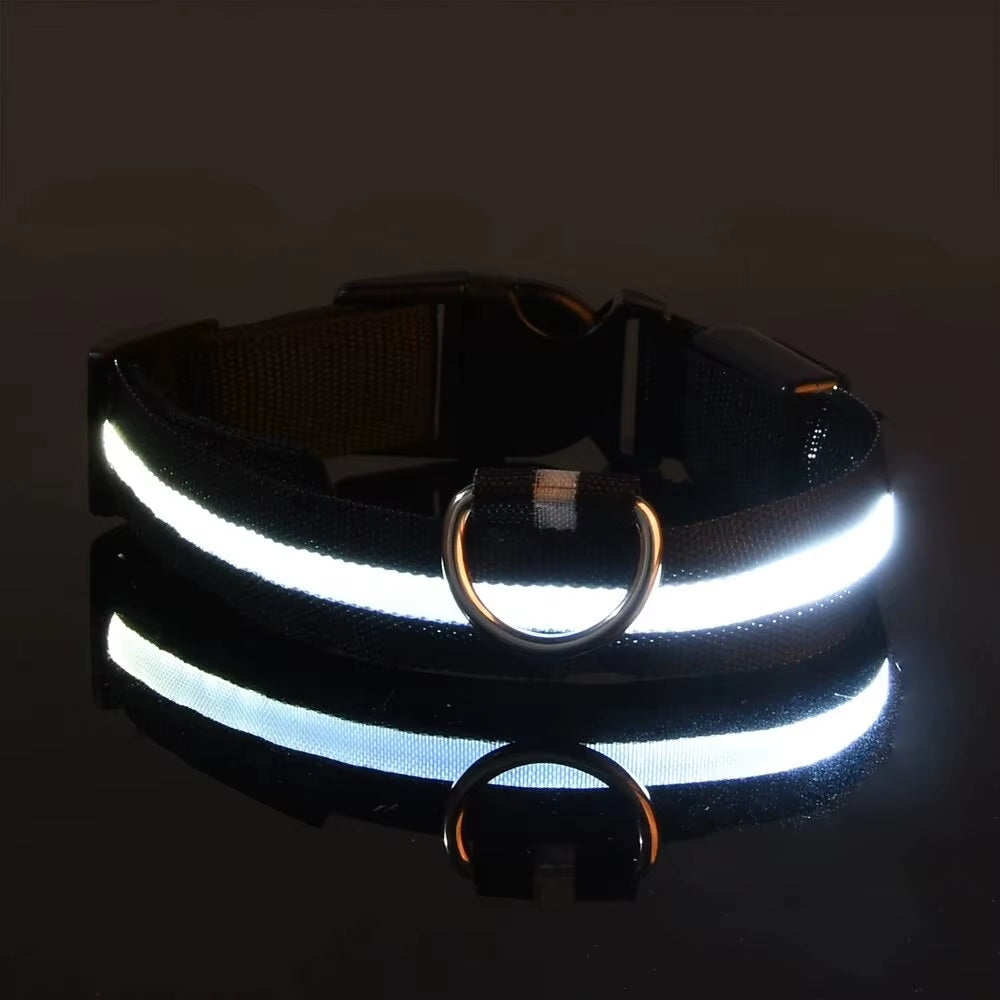 LED Nylon Dog Leash Glow in the Dark Safety
