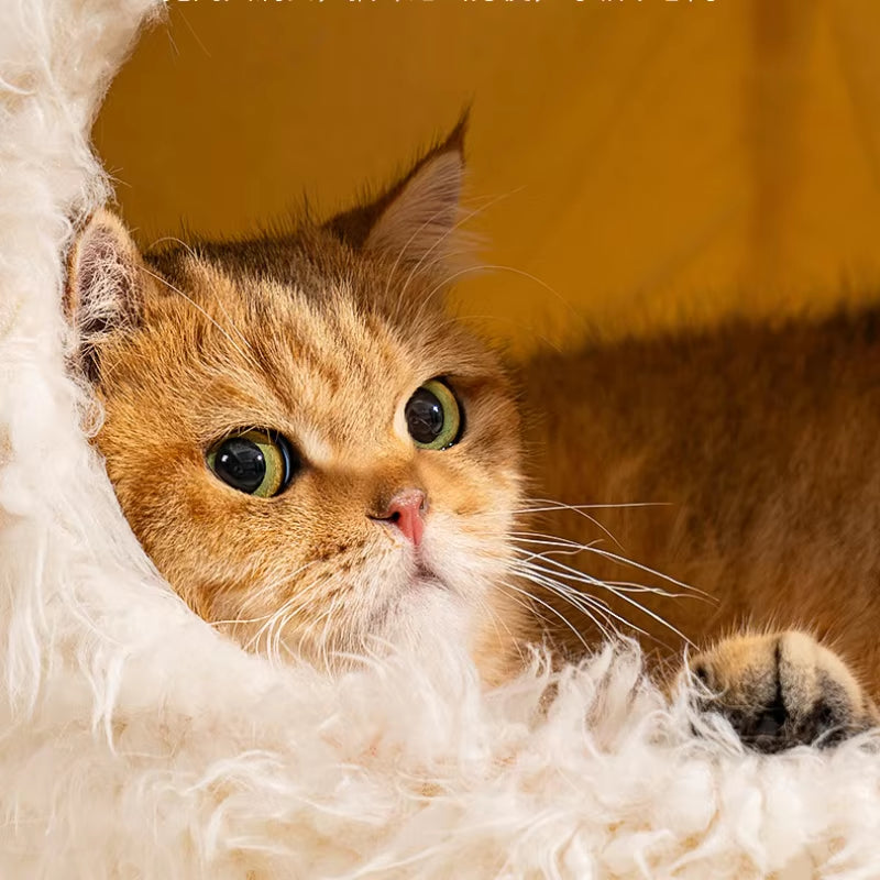 Comfortable Cat Bed – Plush & Suitable for Medium Cats