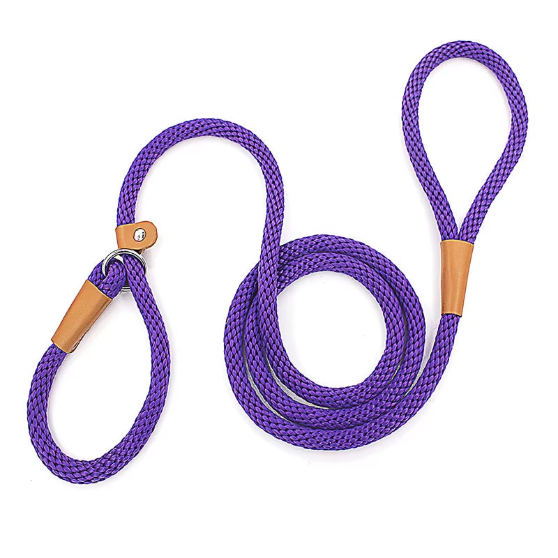 Dog Slip Lead & Leash – Adjustable No-Pull Rope