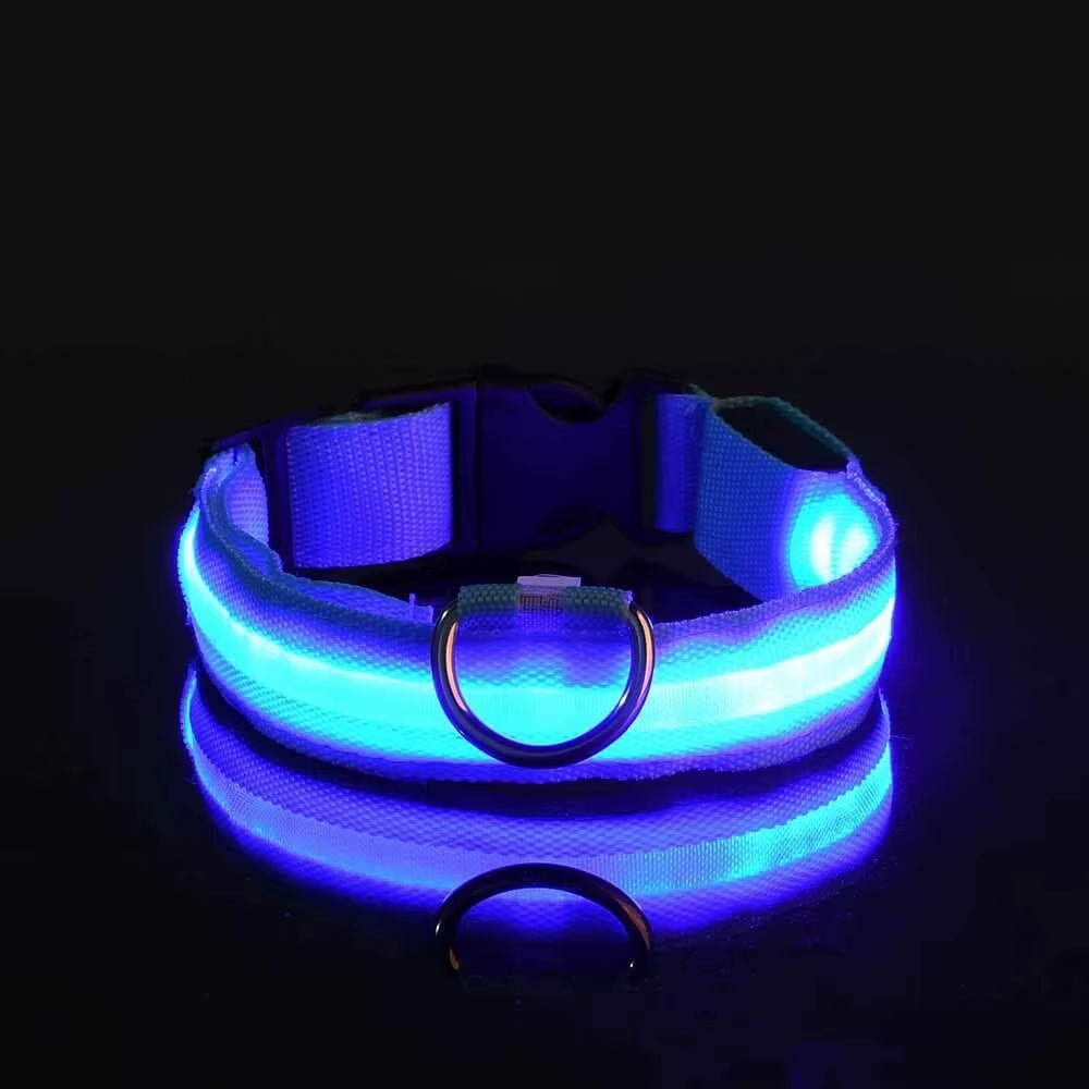 LED Nylon Dog Leash Glow in the Dark Safety