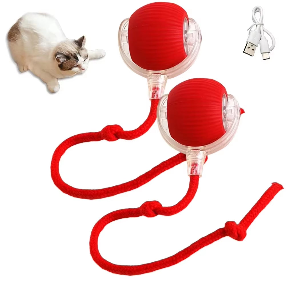 Automatic Rolling Ball Pet Toy Rechargeable & Smart
