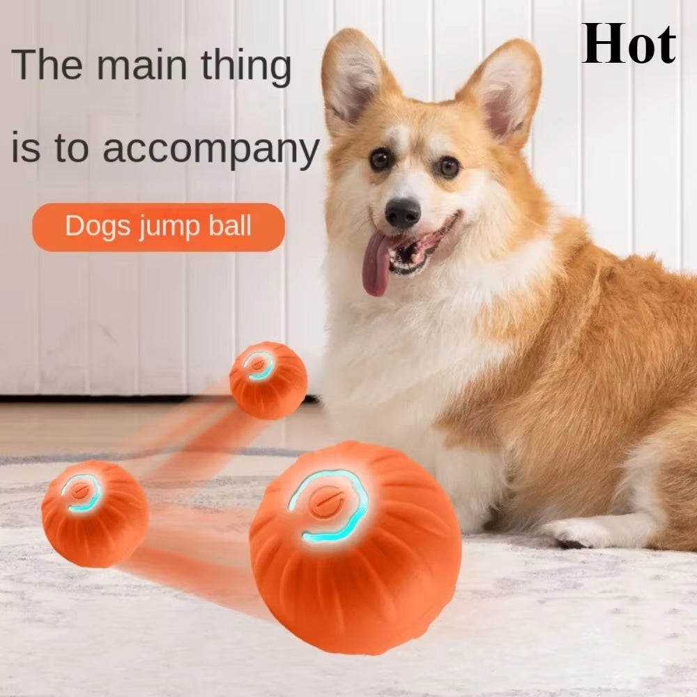 Smart Dog Ball Interactive Rolling Toy