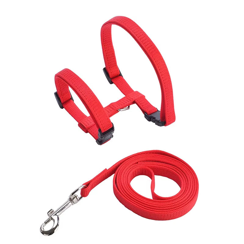 Sphynx Cat Harness & Leash Set – Comfortable & Secure