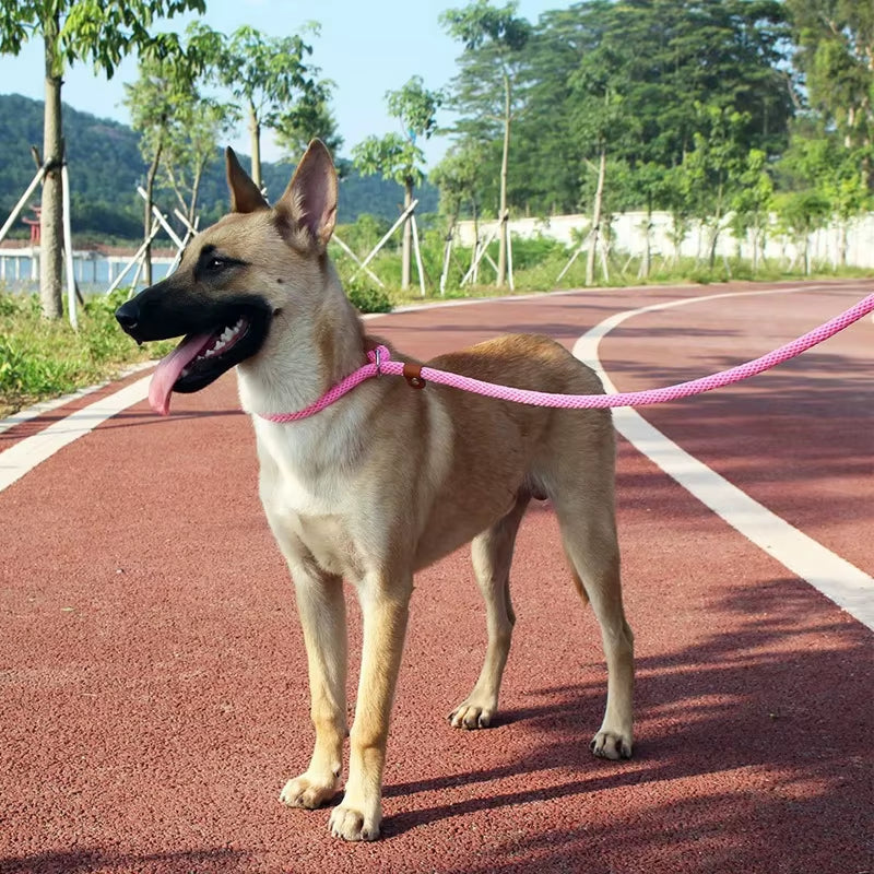 Dog Slip Lead & Leash – Adjustable No-Pull Rope