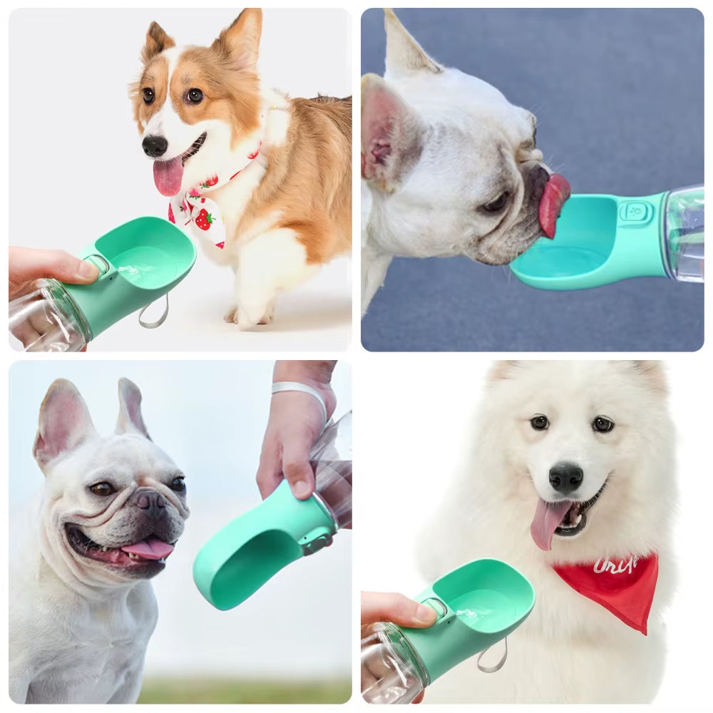 Portable Dog Water Dispenser – Walk & Travel