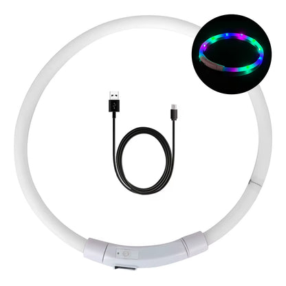 GlowPaw USB Rechargeable LED Dog Safety Collar for Pets