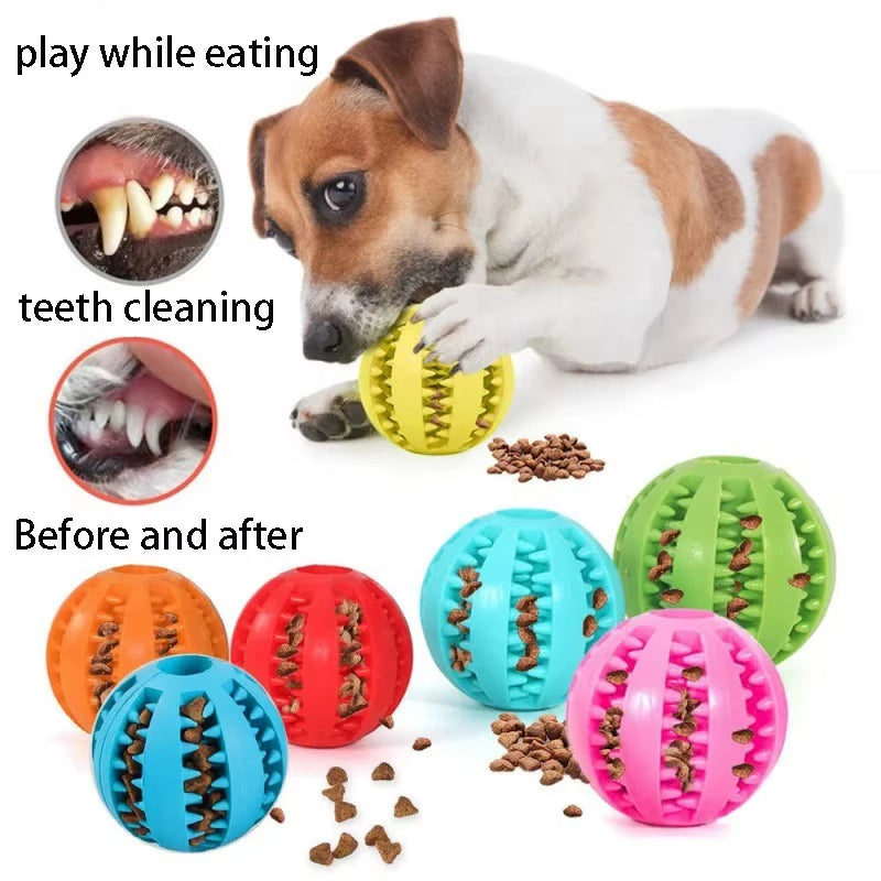 Rubber Dog Chew Ball – Tough Treat Toy