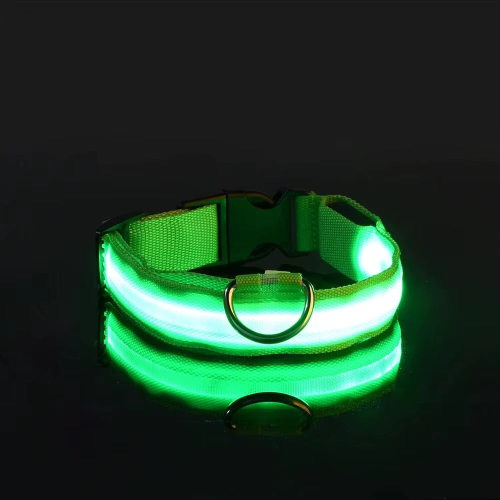LED Nylon Dog Leash Glow in the Dark Safety