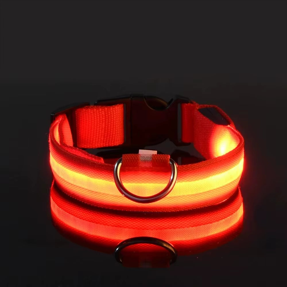 LED Nylon Dog Leash Glow in the Dark Safety