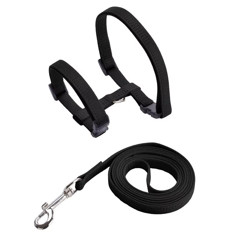 Sphynx Cat Harness & Leash Set – Comfortable & Secure