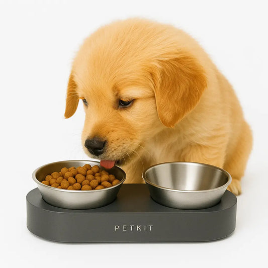 PETKIT Adjustable Double Dog Feeder – Stainless Steel & Plastic Bowls