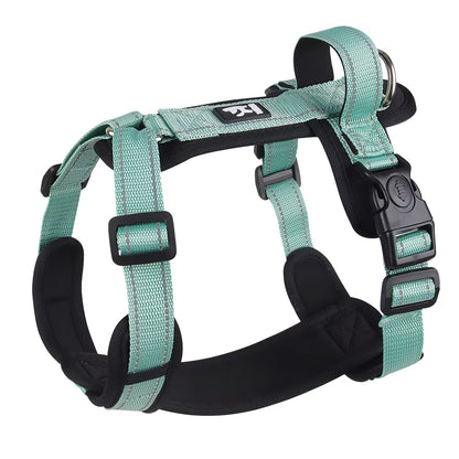 Teal green escape-proof harness for dogs – breathable mesh, secure lock buckle, and D-ring leash clip