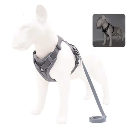 Reflective grey no-pull dog harness with leash – soft padded fit