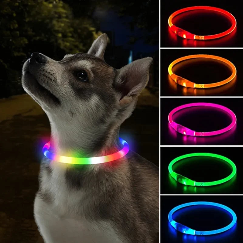 Light-Up Pet Collar 3 Mode LED Safety Collar